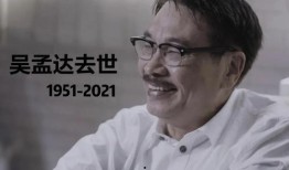 娱乐圈大型吃瓜群众小说,瓜田里的秘密风云录