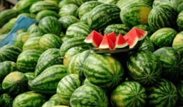 往期内容-网红吃瓜,揭秘网红吃瓜背后的娱乐江湖