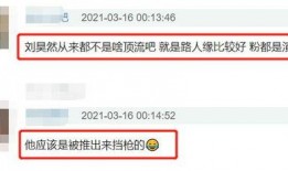 娱乐圈爆料大文,明星幕后真相大曝光