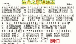 《生命之歌》在线观看,探寻生命奥秘的视听之旅