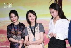 娱乐圈大型吃瓜群众小说,瓜田里的秘密风云录