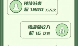 海安网红大爆料最新消息,揭秘幕后真相，带你走进网络红人世界