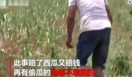 济宁网红吃瓜事件视频最新,真相发酵，网络舆论场再掀波澜