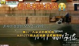 威廉跑腿爆料视频大全,揭秘视频大全背后的精彩瞬间