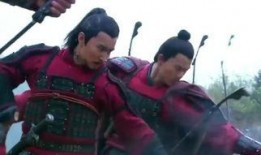 岳飞 在线观看,忠勇报国，千古英魂在线重现