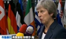 欧盟官员爆料新闻视频大全