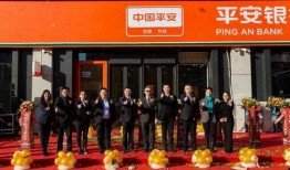 石家庄银行最新爆料,揭秘金融创新与业务拓展新动向