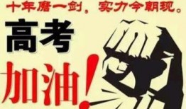 爆料励志视频,揭秘励志视频背后的真实故事