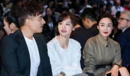 爆料娱乐圈模范夫妻,娱乐圈模范夫妻的甜蜜真相揭露