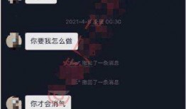 网红吃瓜聊天记,揭秘娱乐圈幕后故事
