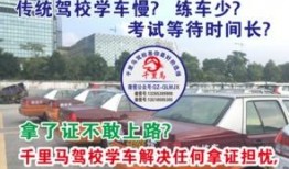 广州学车爆料最新消息,最新爆料揭示学车流程大变革