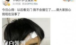 王俊凯明星热点爆料视频,揭秘明星背后的真实生活