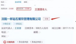 王澄澄老公爆料视频在线观看,揭秘背后惊人真相