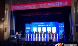 岳阳市最新爆料消息新闻,重大新闻事件揭秘！