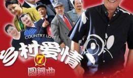 乡村爱情圆舞曲全集在线观看,重温经典农村爱情故事