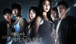 韩国奇迹在线观看,在线见证崛起之路