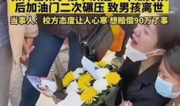武汉被撞学生爆料案件最新,悲剧背后，校园安全谁来守护？