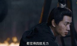 陈晓小说爆料最新,揭秘娱乐圈背后的惊人真相