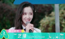 王艺瑾前妻爆料视频,揭秘婚姻内幕与情感纠葛