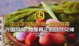 四川酸菜爆料视频播放在线观看,独家爆料视频在线观看，带你领略地道川味酸菜魅力