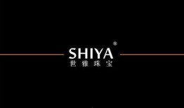 世雅在线观看,探索虚拟世界的无限魅力