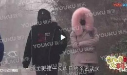 王思聪爆料贾乃亮视频在线观看,网络热议不断