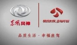 东风卫视在线观看