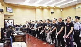 石家庄裕华爆料案件最新,真相渐明，疑云散去