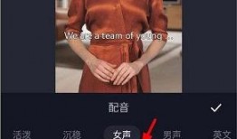 怎么制作爆料视频,轻松上手，成为网络侦探