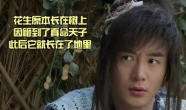 真命天子在线视频观看,揭秘神秘皇位继承者的传奇历程