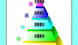 理论片在线观看,在线观看理论片，开启知识之门