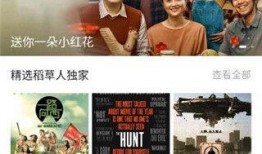 月光爆料视频大全集,揭秘视频大全集背后的精彩瞬间