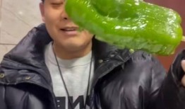 吃瓜事件网红2023,网络狂欢背后的故事