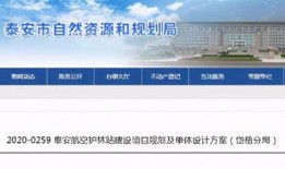 泰安最新爆料消息,揭秘背后惊人真相