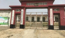 蒙阴县最新爆料消息,揭秘当地发展新动态与民生改善成果