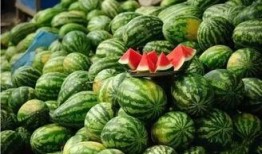 西瓜爆料泰蜜官方报道最新,泰蜜官方最新动态揭秘