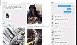 爆料营销号教程视频大全,轻松掌握热门营销技巧