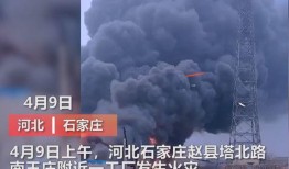 东莞媒体爆料视频曝光,视频揭露惊人真相