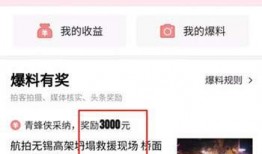 头条爆料投稿流程视频,轻松掌握一键投稿技巧