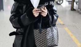 皱蔡卓妍在线观看,重温经典，感受青春魅力