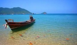 苏梅岛女主爆料视频,揭秘事件背后惊人真相