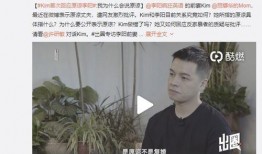 李哲妻子爆料视频在线观看,揭秘夫妻关系背后的惊人真相