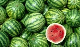 往期内容-网红吃瓜,揭秘网红吃瓜背后的娱乐江湖