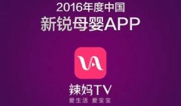 辽宁辣妈爆料视频大全下载,辽宁辣妈风采瞬间集锦