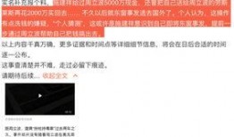 唐爽爆料视频分析,事件背后真相与内幕曝光