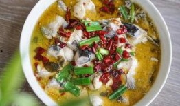 酸菜鱼的爆料视频大全集,揭秘美食背后的故事与真相