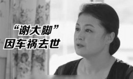 娱乐圈大型吃瓜群众小说,瓜田里的秘密风云录