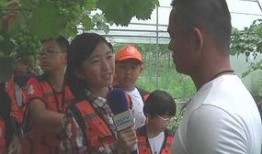 泉港记者爆料新闻最新,揭秘某重大事件背后真相