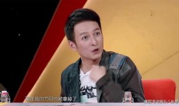 何炅被维嘉爆料视频播放,揭秘娱乐圈幕后故事