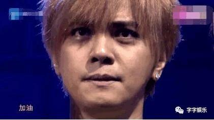 娱乐圈八卦瓜田吃瓜,瓜田吃瓜，揭秘明星幕后故事